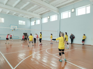 прошли соревнования по волейболу среди мужских и женских команд сельских и городского поселений Починковского района - фото - 6