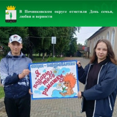 в Починковском округе отметили День семьи, любви и верности - фото - 9